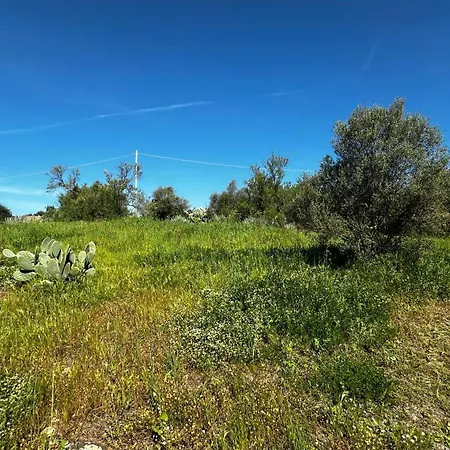 Casa Biel - Nature Retreat Holiday home