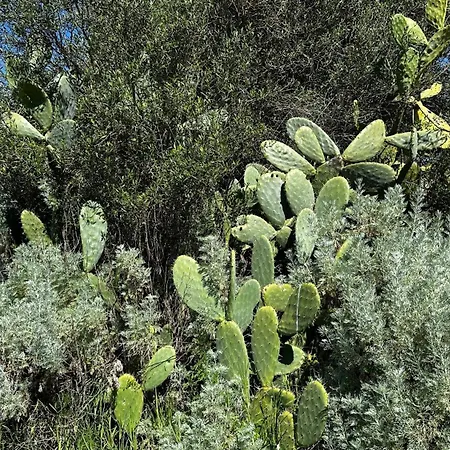 Holiday home Casa Biel - Nature Retreat