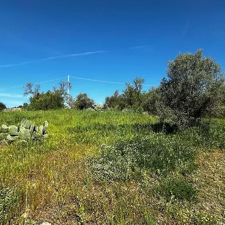 Holiday home Casa Biel - Nature Retreat